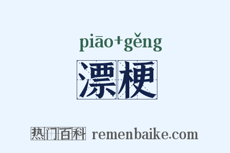 漂梗是什么意思的图片